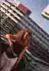 vikfay